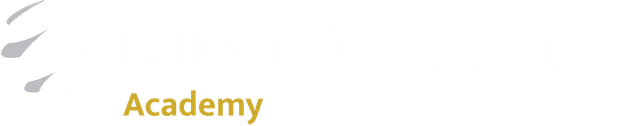 Logo Edilclima
